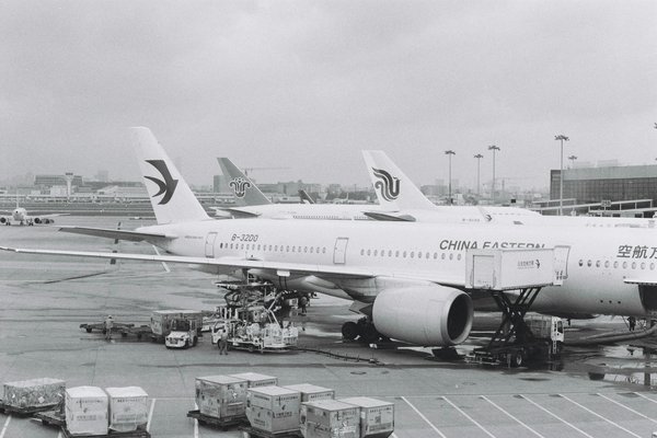 Comment choisir une croisière pour observer les oiseaux migrateurs en Amérique du Nord?